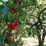 O 4 Saisons De Breilbon Casa de hóspedes Germond-Rouvre
