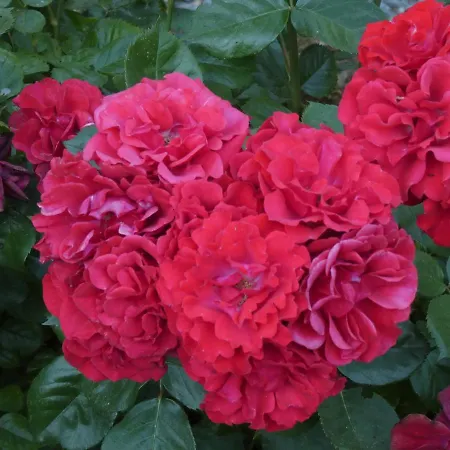 Maison d'hôtes O 4 Saisons De Breilbon