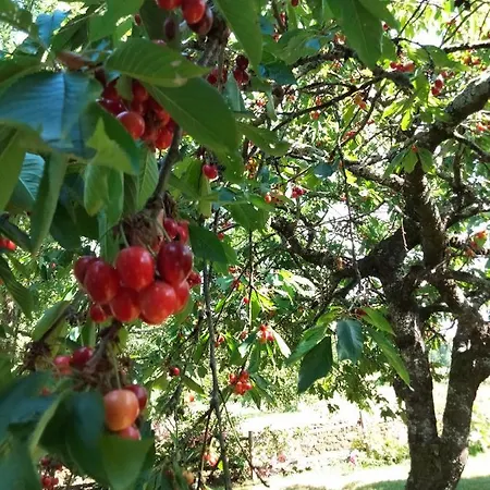 O 4 Saisons De Breilbon Casa de hóspedes Germond-Rouvre