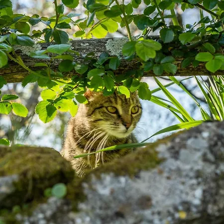 O 4 Saisons De Breilbon Casa de hóspedes