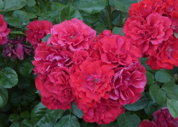 Guest house O 4 Saisons De Breilbon