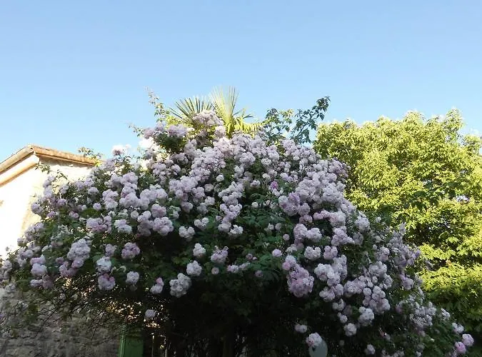 Guest house O 4 Saisons De Breilbon 3*