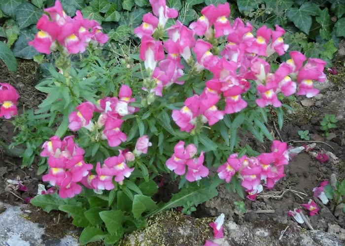 O 4 Saisons De Breilbon Guest house Germond-Rouvre