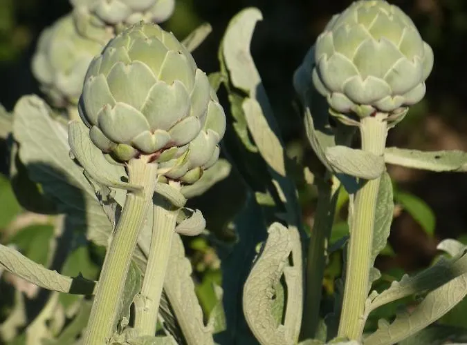 Guest house O 4 Saisons De Breilbon 3*