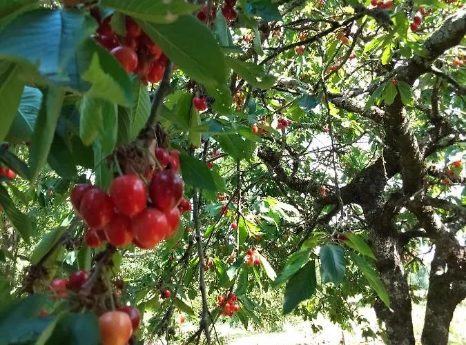 O 4 Saisons De Breilbon Guest house Germond-Rouvre