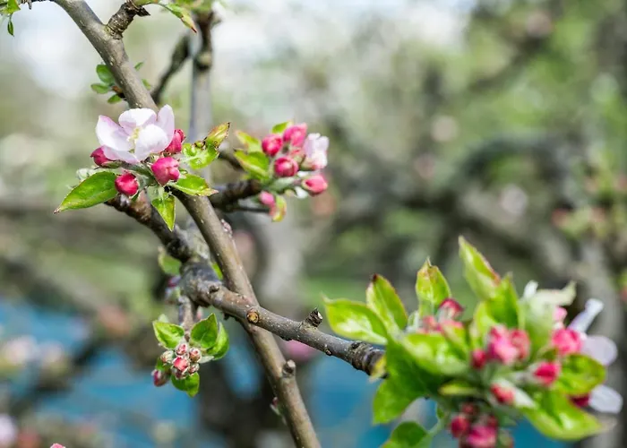 Guest house O 4 Saisons De Breilbon 3*