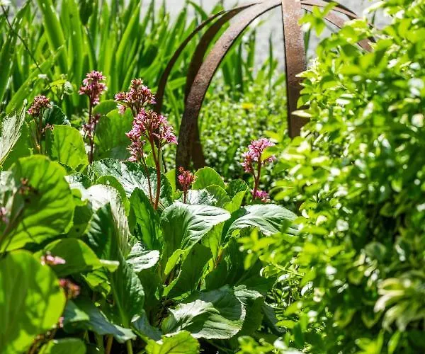 Guest house O 4 Saisons De Breilbon