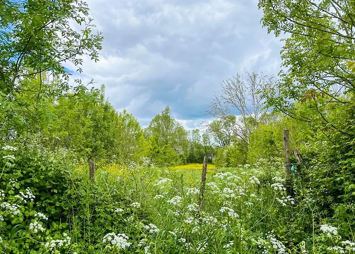 O 4 Saisons De Breilbon Guest house Germond-Rouvre